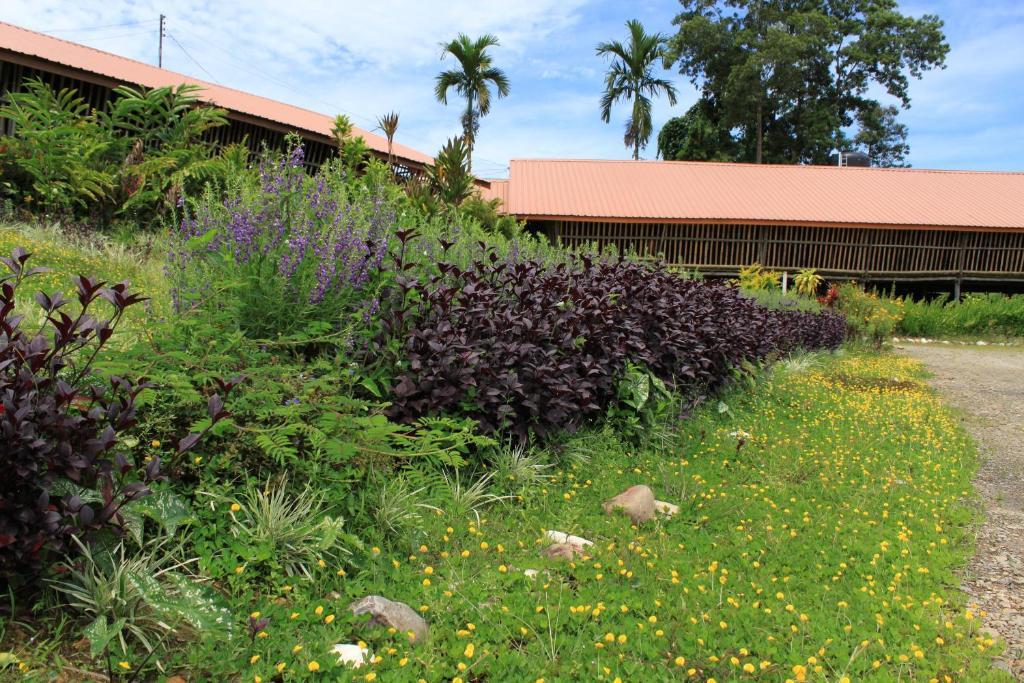 Sabah Tea Garden-Longhouses Ранау Экстерьер фото