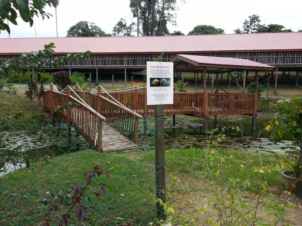 Sabah Tea Garden-Longhouses Ранау Экстерьер фото