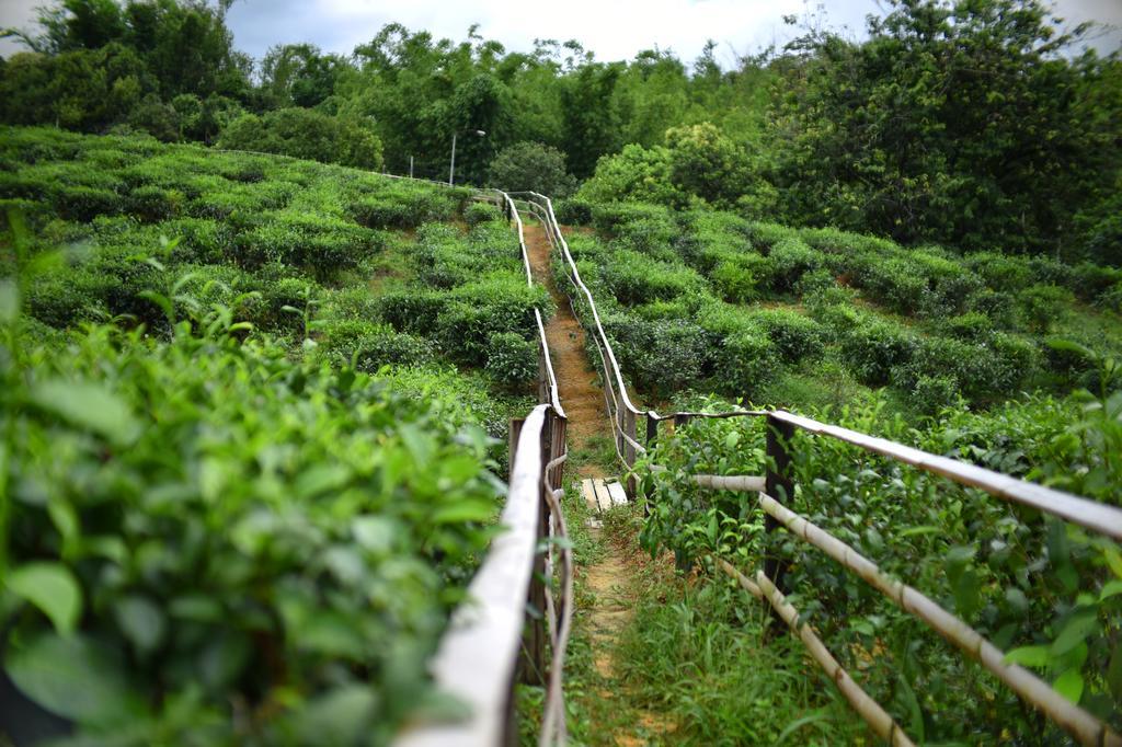 Sabah Tea Garden-Longhouses Ранау Экстерьер фото